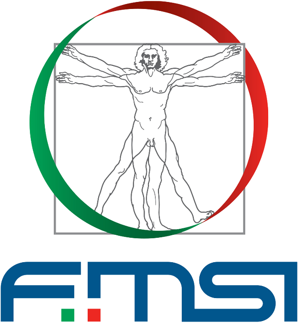 Logo FMSI